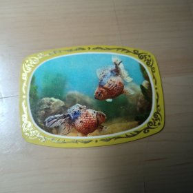 年历卡片–金鱼（3）