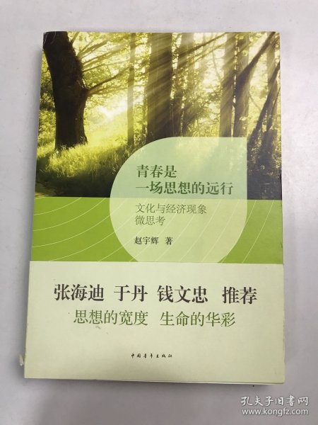 青春是一场思想的远行 : 文化与经济现象微思考