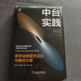 中台实践：数字化转型方法论与解决方案(全新未拆封)