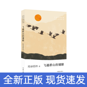 飞越群山的翅膀