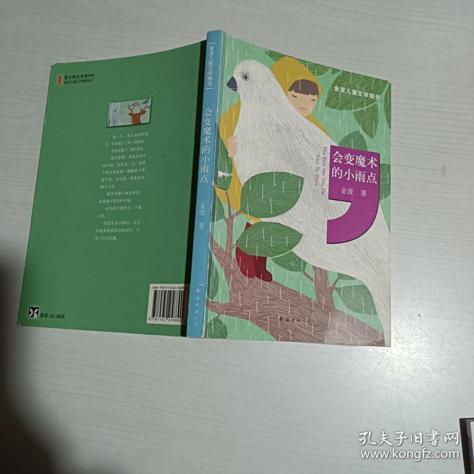 金波儿童文学精选：会变魔术的小雨点