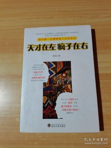 天才在左 疯子在右：国内第一本精神病人访谈手记