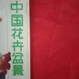 中国花卉盆景 总第29期（《月季专辑》专栏载文17篇；《树根艺术》专栏载文2篇；《家庭养花顾问》专栏载文4篇；《育种与栽培》专栏载文6篇；《盆景世界》专栏载文16篇；广东省顺德县陈村迎春花市专题；专题介绍烟台市邮电局退休干部孙晨西的根雕艺术；《第二次有奖花卉知识测验》答案；歌曲《美丽人家美的歌》词曲；《闽南树桩盆景》、《岭南派盆景》彩页）