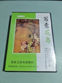 学习中国画 写意花鸟3碟装dvd