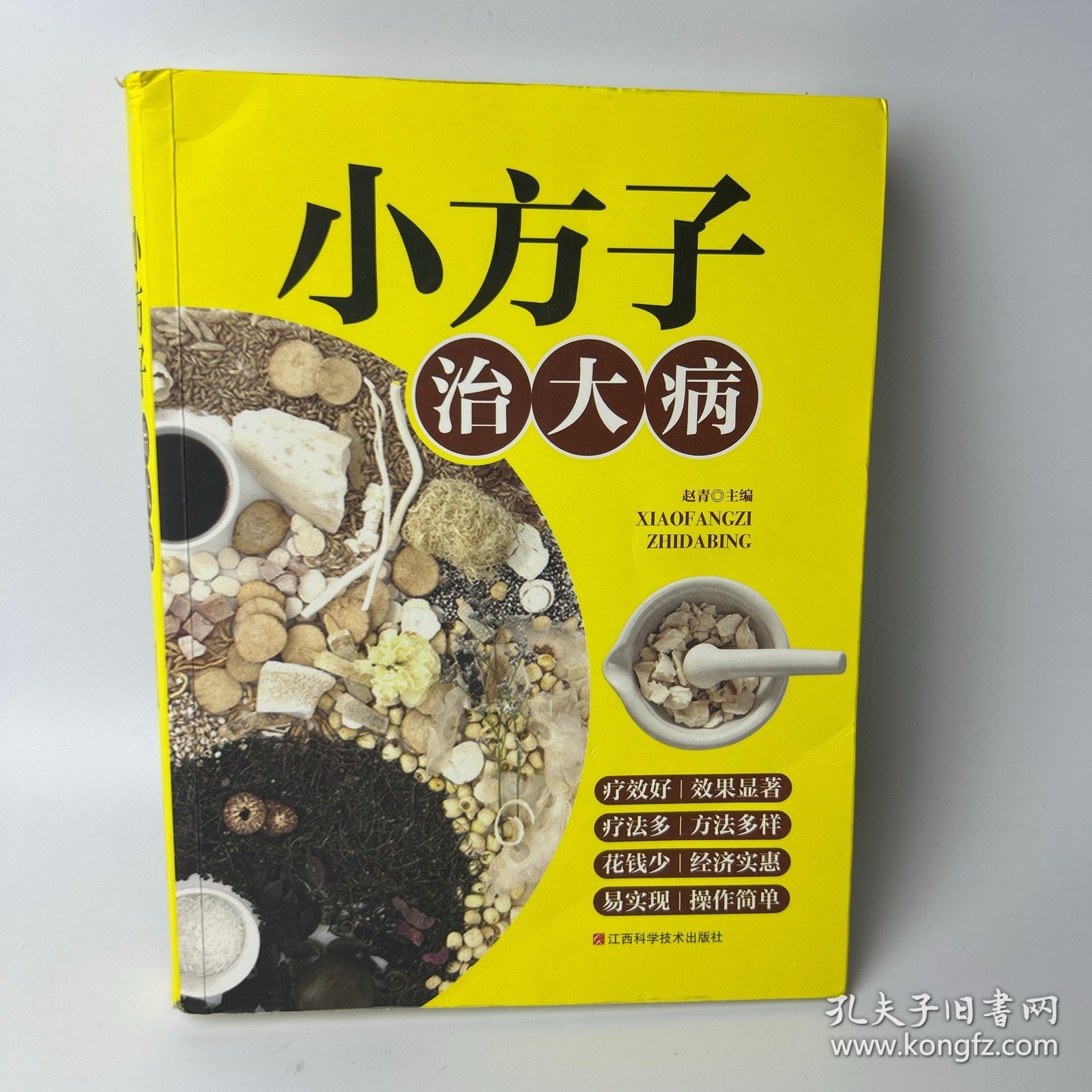 小方子治大病 中医书籍养生偏方大全民间老偏方美容养颜常见病防治 保健食疗偏方秘方大全小偏方老偏方中医健康养生保健疗法