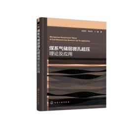 煤系气储层微孔超压理论及应用