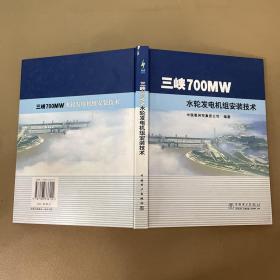 三峡700MW水轮发电机组安装技术