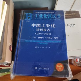 工业化蓝皮书：中国工业化进程报告（1995-2020）