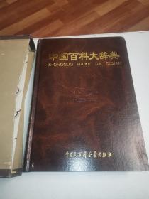 中国百科大辞典（1）