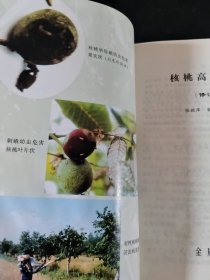 核桃高产栽培（修订版）