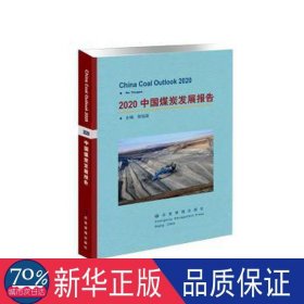 2020中国煤炭发展报告