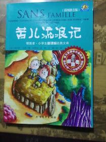 领跑者 苦儿流浪记 小学生新课标经典文库