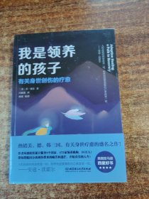 我是领养的孩子：有关身世创伤的疗愈