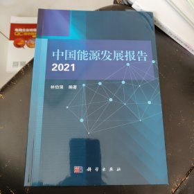 中国能源发展报告2021