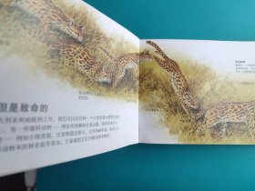 口袋图书馆 :危险动物