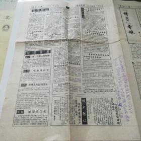 报纸 经济人报1993年