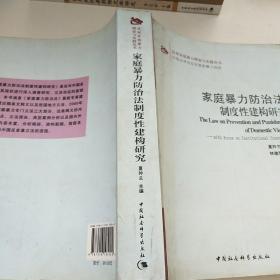 反对家庭暴力理论与实践丛书：家庭暴力防治法制度性建构研究