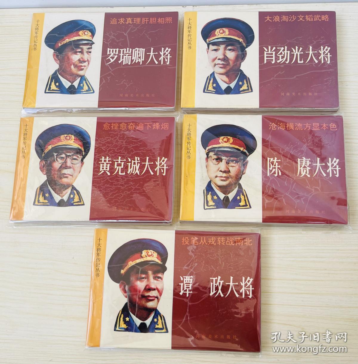 十大将军传记丛书全十册（品好）32开