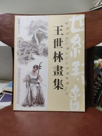 王世林画集（江苏连云港人）