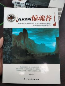 西双版纳惊魂谷