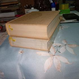 传世藏书：史库二十六史
清史稿（二、三、两本）合售。