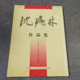 上海市中青年书法篆刻家作品集 沈沪林作品集