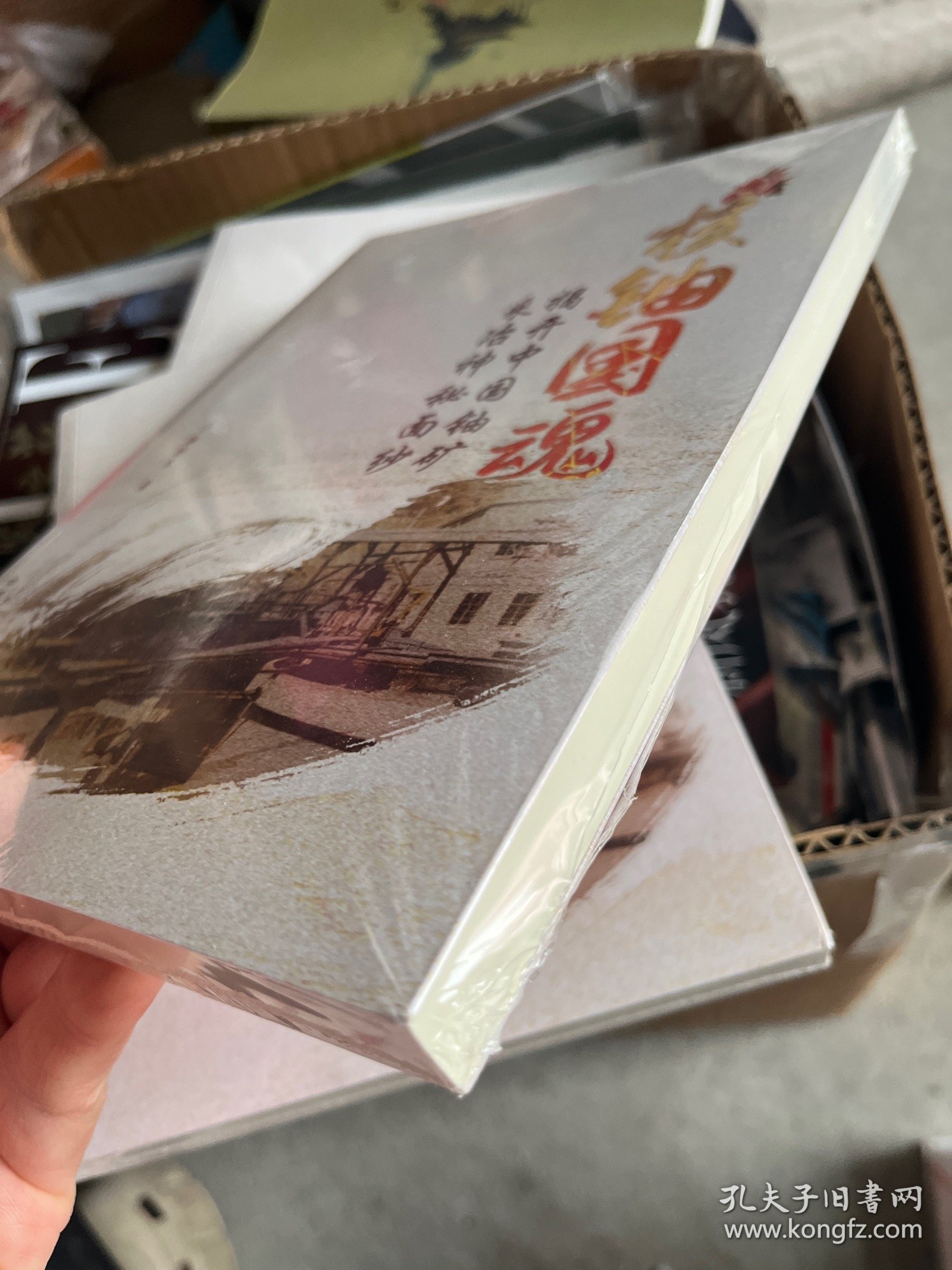 核铀国魂 揭开中国铀矿采冶神秘面纱（未拆封）