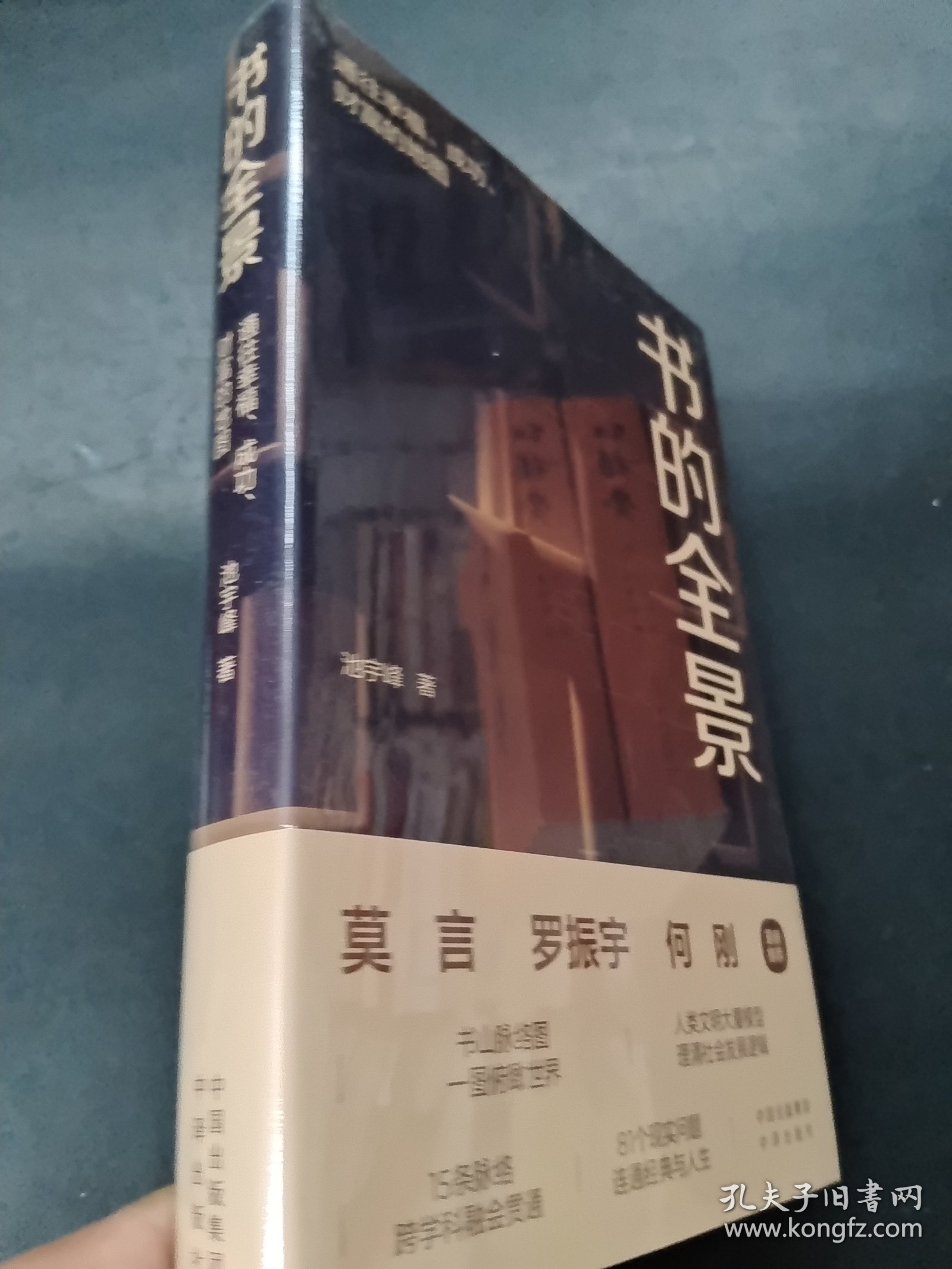 书的全景：通往幸福、成功、财富的地图