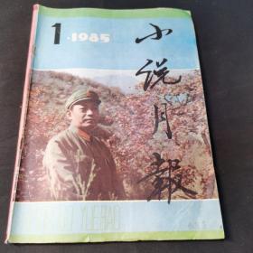 小说月报 1985年第1期