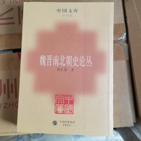 魏晋南北朝史论丛——中国文库·史学类