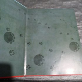 我想养只小老鼠