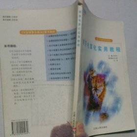 財務(wù)電算化實用教程