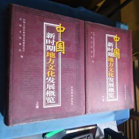中国新时期地方文化发展概览(全两卷)[16开精装厚册]
