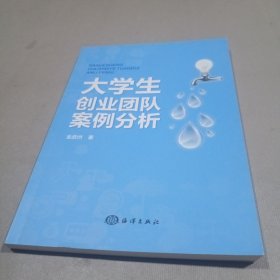 大学生创业团队案例分析