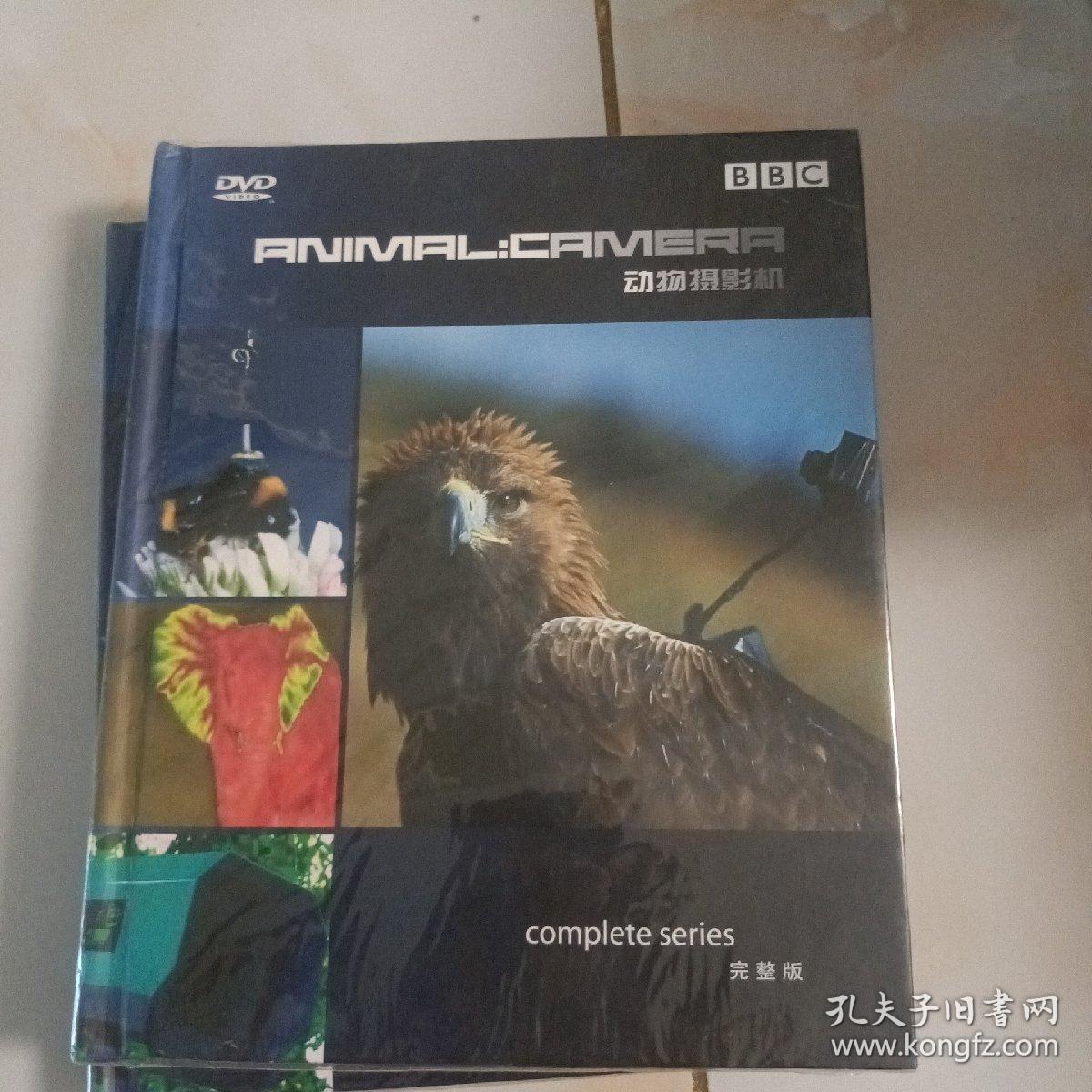 动物摄影机 2DVD 完整版