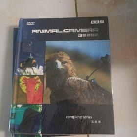 动物摄影机 2DVD 完整版