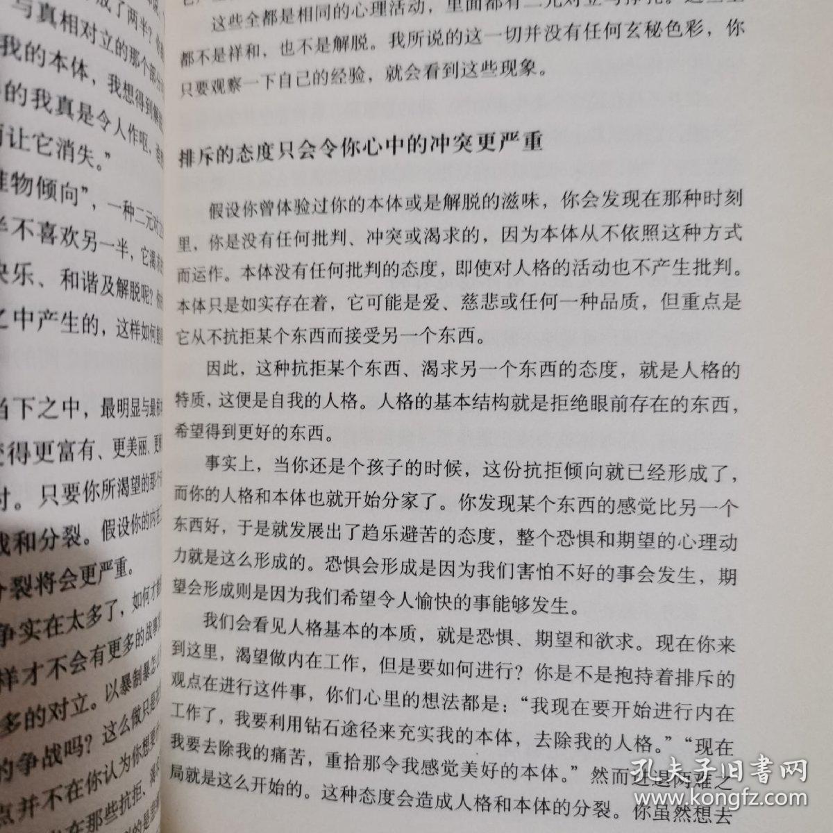 解脱之道：钻石途径系列之二