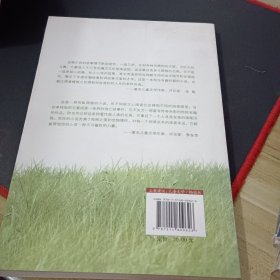 儿童文学金牌作家书系 牧铃“艰难的归程”系列-艰难的归程（修订版）