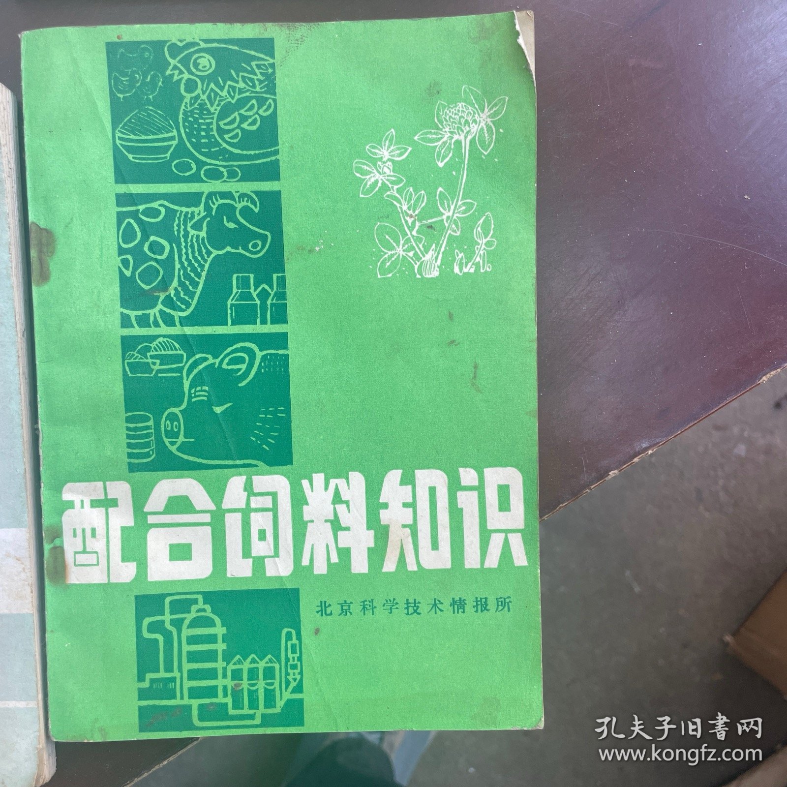 怎样养兔（每本5元）
