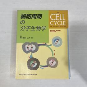 细胞周期分子生物学