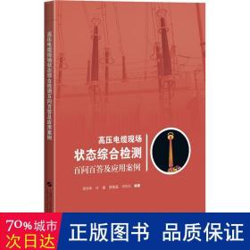 高压电缆现场状态综合检测百问百答及应用案例