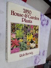 2850 HOUSE GARDEN PLANTS