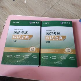 医护考试应试金典上下册（主官护师）