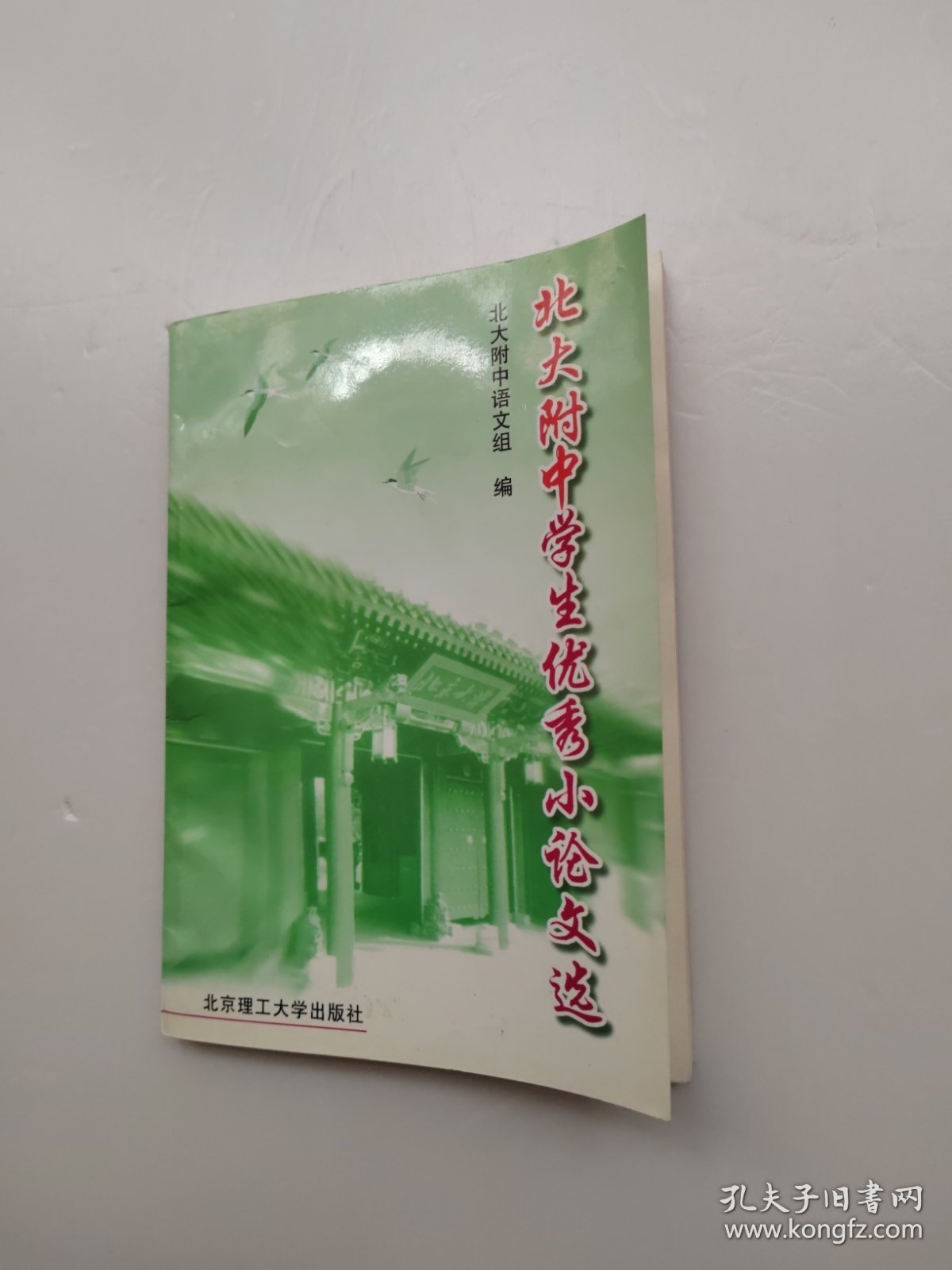 北大附中学生优秀小论文选