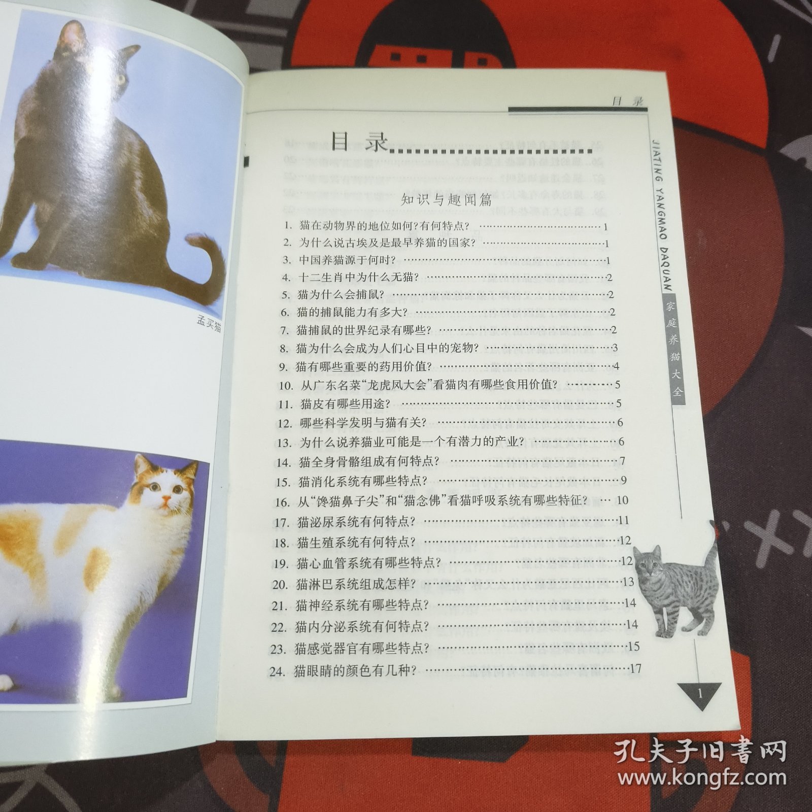 家庭养猫大全/宠物饲养大全丛书 如图书脊有破损