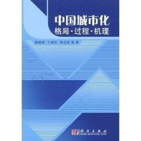 中国城市化：格局·过程·机理