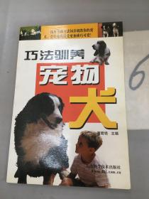 巧法驯养宠物犬。