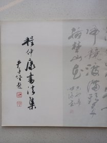 程仲康书法集 作者签赠本 私藏自然旧品如图(本店不使用小快递 只用中通快递)