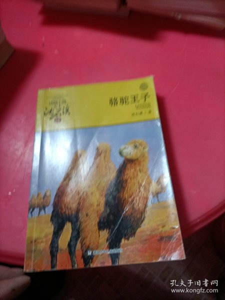 骆驼王子