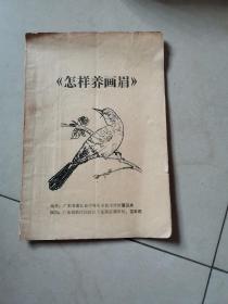 怎样养画眉鸟 广东韶关市曲江县中等农业技术学校